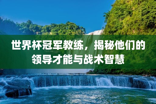 世界杯冠军教练，揭秘他们的领导才能与战术智慧