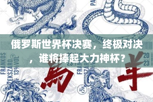 俄罗斯世界杯决赛，终极对决，谁将捧起大力神杯？
