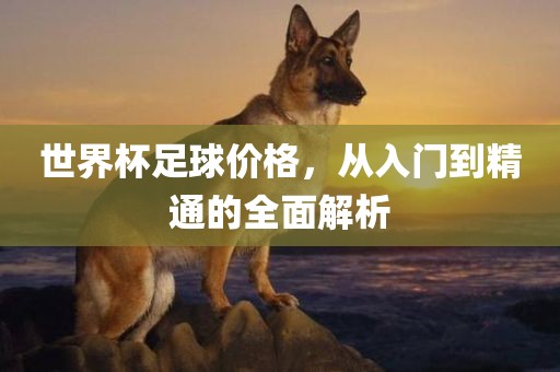 世界杯足球价格，从入门到精通的全面解析