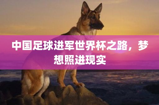 中国足球进军世界杯之路，梦想照进现实