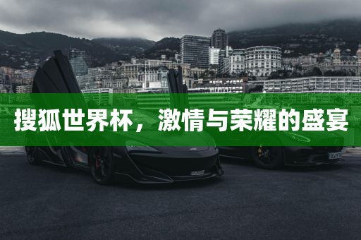 搜狐世界杯，激情与荣耀眉山市正发家政服务有限公司的盛宴