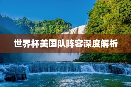 世界杯美国队阵容深度解眉山市正发家政服务有限公司析