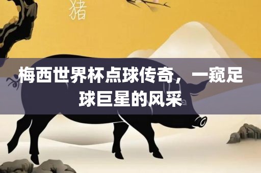 梅西世界杯点球传奇，一窥足球巨星的风采
