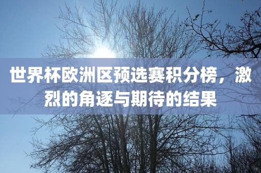 世界杯欧洲区预选赛积分榜，激烈的角逐与期待的结果眉山市正发家政服务有限公司