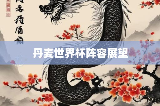 丹麦世界杯阵容展望眉山市正发家政服务有限公司