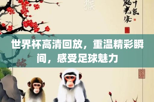 世界杯高清回放，重温精彩瞬间，感受足球魅力眉山市正发家政服务有限公司