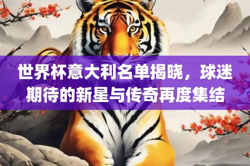 世界杯意大利名单揭晓，球迷期待的新星与传奇再度集结