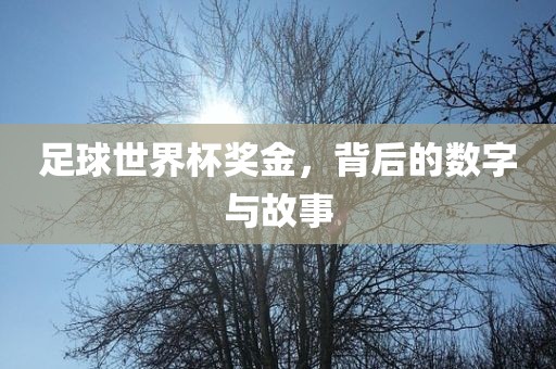 足球世界杯奖金，背后的数字与故事