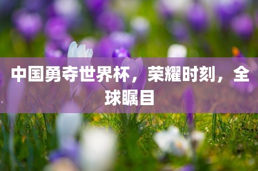 中国勇夺世界杯，荣耀时刻，全球瞩目