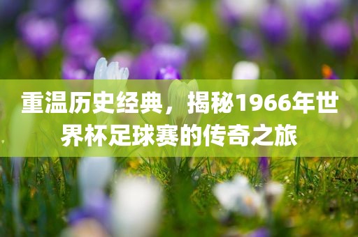 重温历史经典，揭秘眉山市正发家政服务有限公司1966年世界杯足球赛的传奇之旅