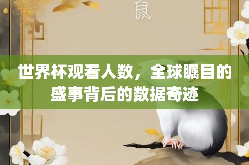 世界杯观看人数，全球瞩目的盛事背后的数据奇迹