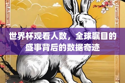 世界杯观看人数，全球瞩目的盛事背后的数据奇迹