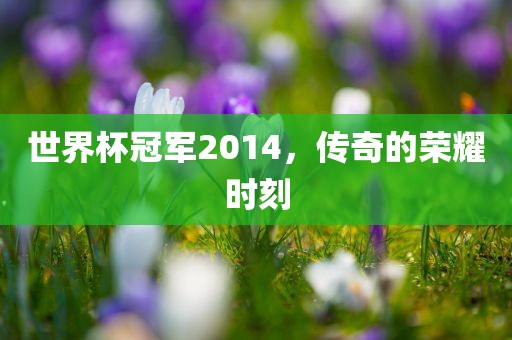 世界杯冠军2014，传奇的荣耀时刻