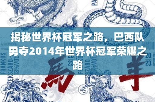 揭秘世界杯冠军之路，巴西队勇夺2014年世界杯冠军荣耀之路