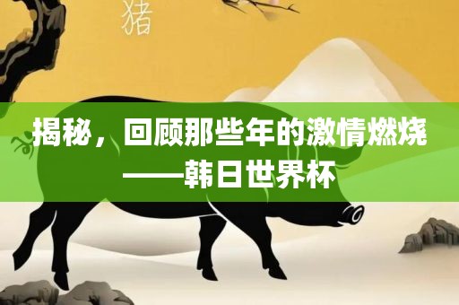揭秘，回顾那些年的激情燃烧——韩日世界杯眉山市正发家政服务有限公司
