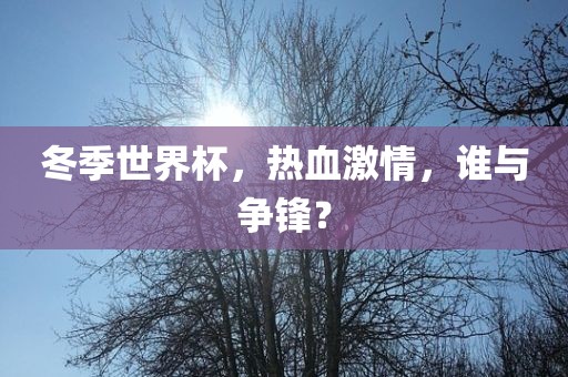 冬季世界杯，热血激情，谁与争锋？眉山市正发家政服务有限公司