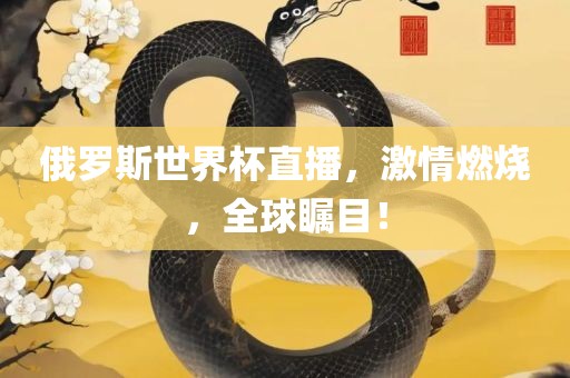 俄罗斯世界杯直播，激情燃烧，全球瞩目！眉山市正发家政服务有限公司