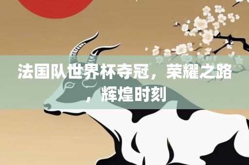 法国队世界杯夺冠，荣耀之路，辉煌时刻眉山市正发家政服务有限公司