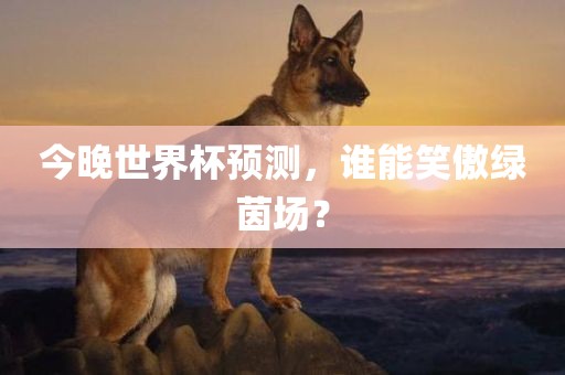 今晚世界杯预测，谁能笑傲绿茵场？