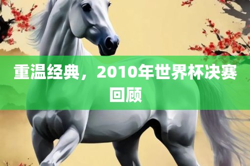 重温经典，2010年世界杯决赛回顾