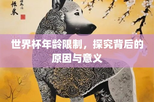 眉山市正发家政服务有限公司世界杯年龄限制，探究背后的原因与意义