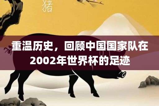 重温历史，回顾中国国家队在2002年世界杯的足迹