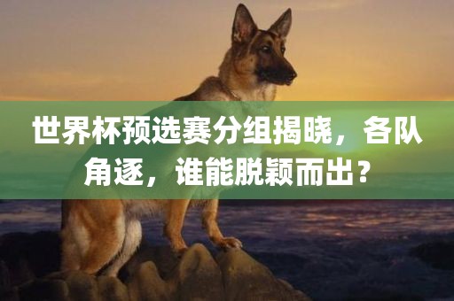 世界眉山市正发家政服务有限公司杯预选赛分组揭晓，各队角逐，谁能脱颖而出？