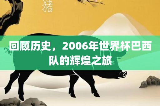 回顾历史，2006年世界杯巴西队的辉煌之旅