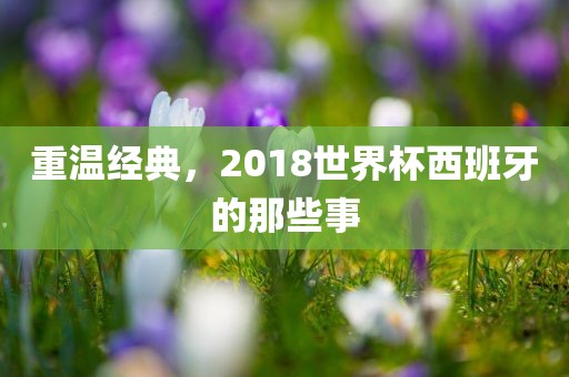 重温经典，2018世界杯西班牙的那些事