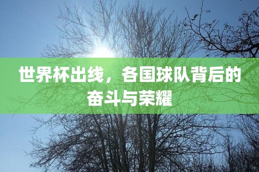 世界杯出线，各国球队背后的奋斗与荣耀