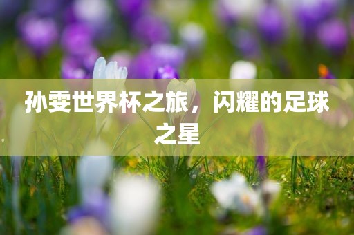 孙雯世界杯之旅，闪耀的足球之星眉山市正发家政服务有限公司