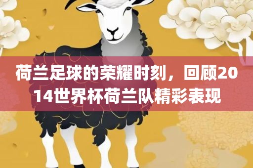荷兰足球的荣耀时刻，回顾2014世界杯荷兰队精彩表现