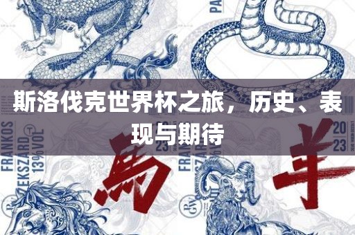斯洛伐克世界杯之旅，历史、表现与期待