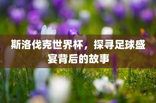 斯洛伐克世界杯，探寻足球盛宴背后的故事眉山市正发家政服务有限公司