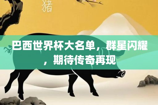 巴西世界杯大名单，群星闪耀，期待传奇再现