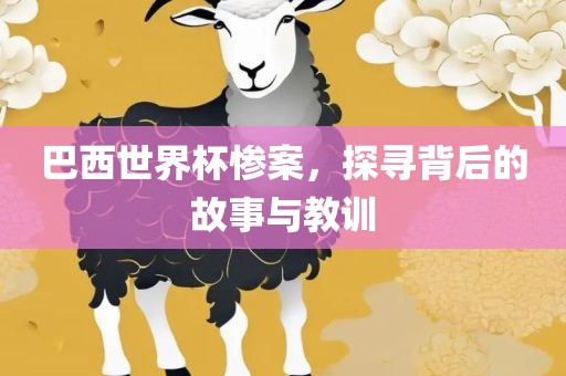 巴西世界杯惨案，探寻背后的故事与教训