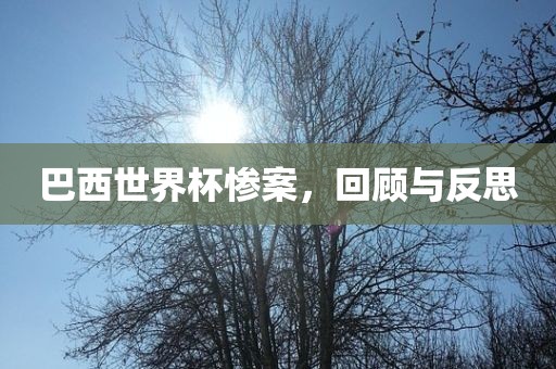 巴西世界杯惨案，回顾与反思