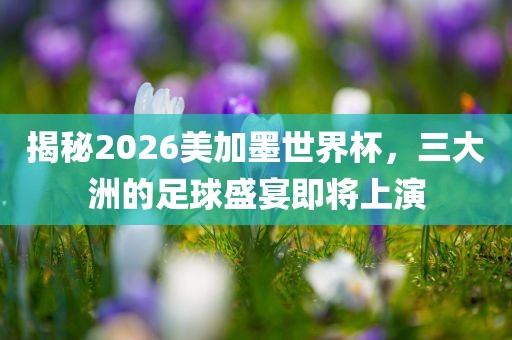 揭秘2026美加墨世界杯，三大洲的足球盛宴即将上演眉山市正发家政服务有限公司