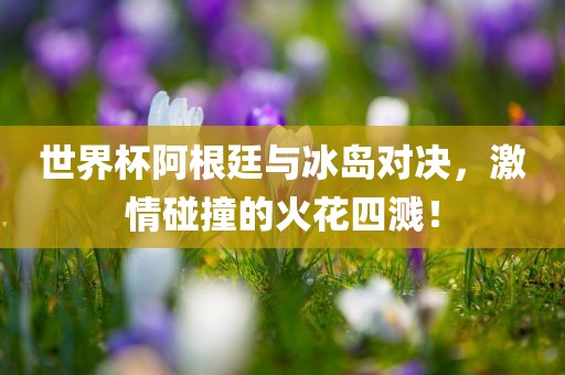 世界杯阿根廷与冰岛对决，激情碰撞的火花四溅！