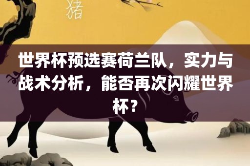 世界杯预选赛荷兰队，实力与战术分析，能否再次闪耀世界杯？