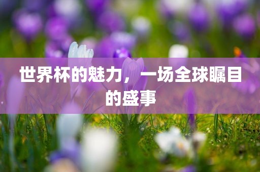 世界杯的魅力，一场全球瞩目的盛事