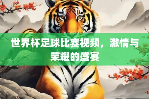 世界杯足球比赛视频，激情与荣耀的盛宴