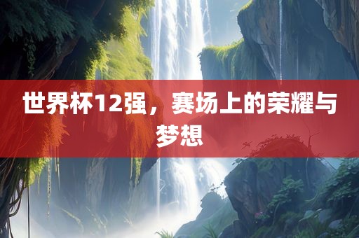 世界杯1眉山市正发家政服务有限公司2强，赛场上的荣耀与梦想