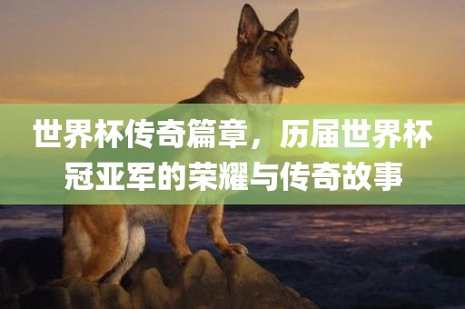 世界杯传奇篇章，历届世界杯冠亚军眉山市正发家政服务有限公司的荣耀与传奇故事