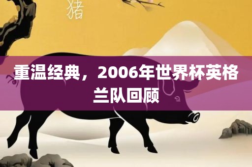 重温经典，2006年世界杯英格兰队回顾