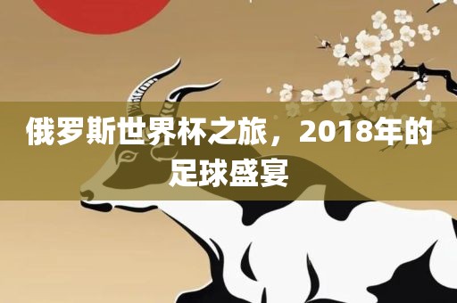 俄罗斯世界杯之旅，2018年的足球盛宴