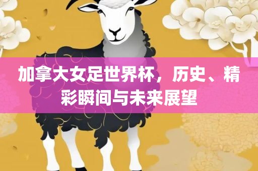 加拿大女足世界杯，历史、精彩瞬间与未来展望