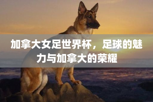 加拿大女足世界杯，足球的魅力与加拿大的荣耀