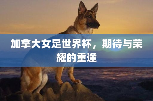 加拿大女足世界杯，期待与荣耀的重逢眉山市正发家政服务有限公司
