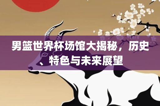 男篮世界杯场馆大揭秘，历史、特色与未来展望